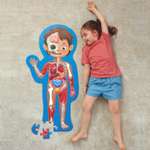 Детский пазл-игрушка HAPE Как устроено тело человека 60 элементов в кейсе