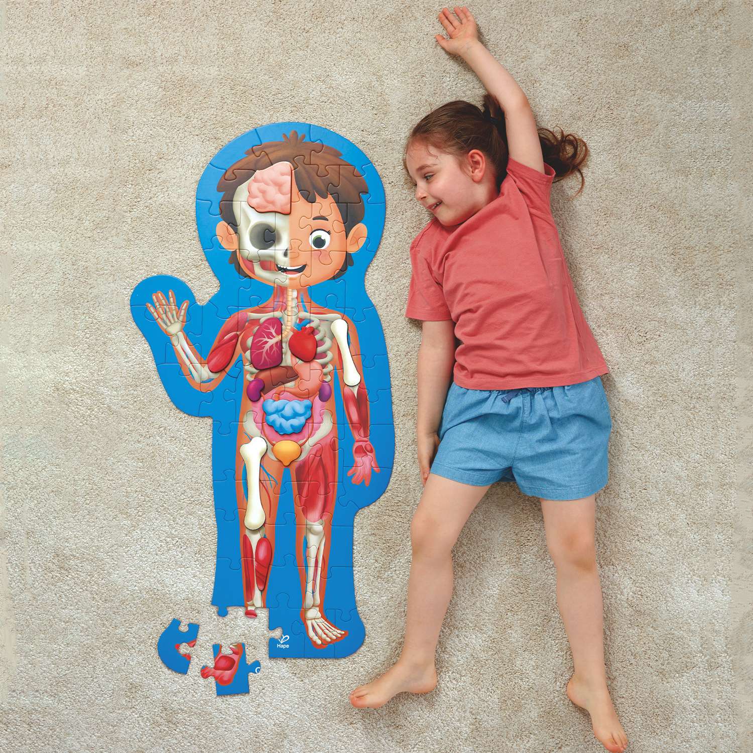 Детский пазл-игрушка HAPE Как устроено тело человека 60 элементов в кейсе - фото 1