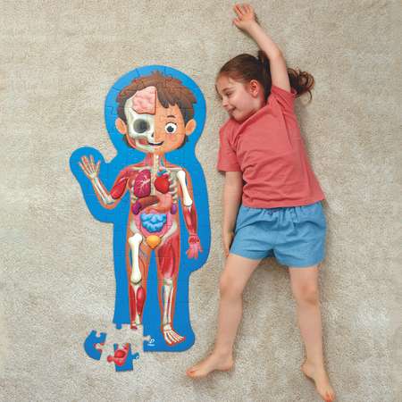 Детский пазл-игрушка HAPE Как устроено тело человека 60 элементов в кейсе