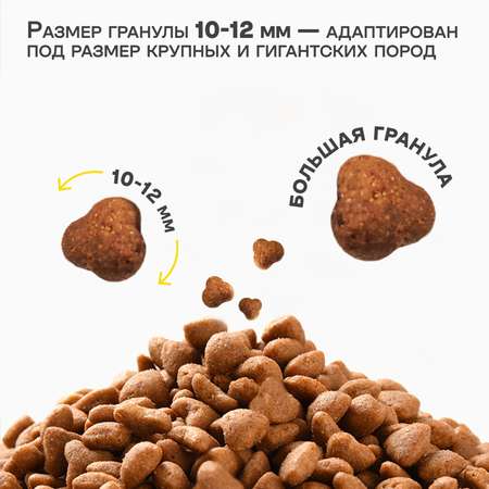 Корм сухой Зоогурман Maine Coon Телятина 10 кг