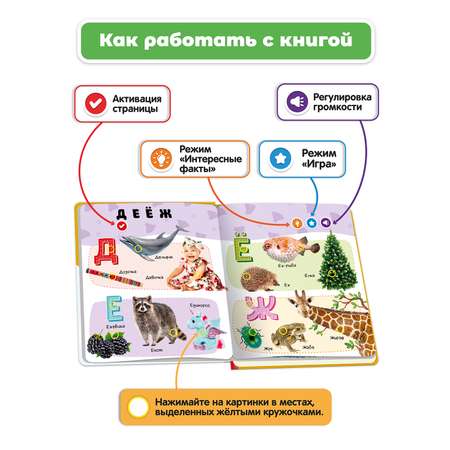 Комплект говорящих книжек BertToys Нажималки: Я и мир вокруг + Русский алфавит