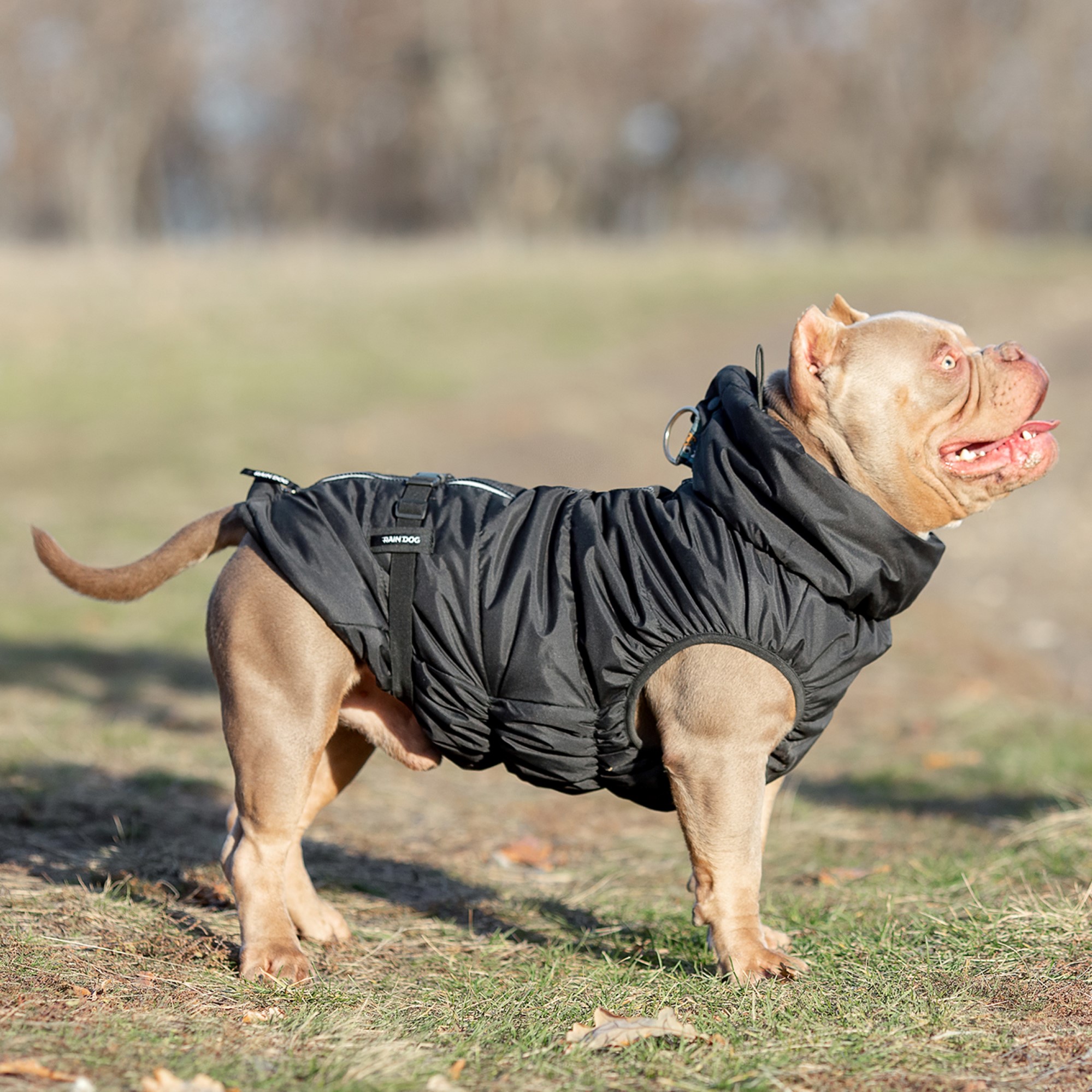 Жилет для собак Rain Dog - фото 7