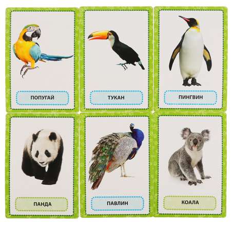 Карточки развивающие Умные Игры Животные мира 30 шт 265353