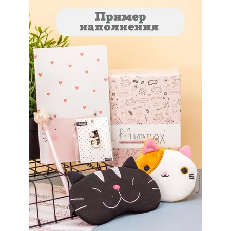 Подарочный бокс для девочки iLikeGift Milota Box mini котик