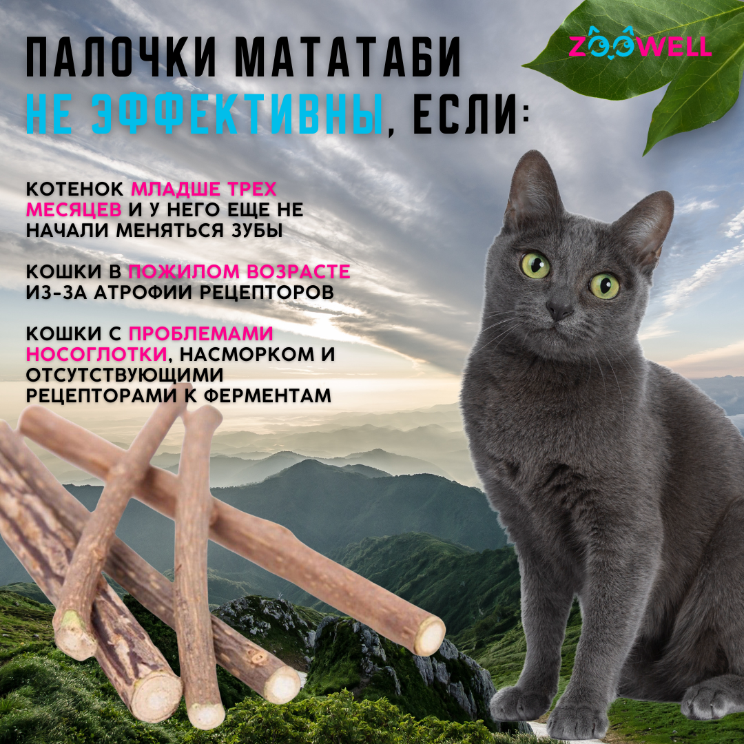 Игрушка для кошек ZDK ZooWell палочки Мататаби Actinidia polygama с эффектом кошачьей мяты для чистки зубов 20шт - фото 7