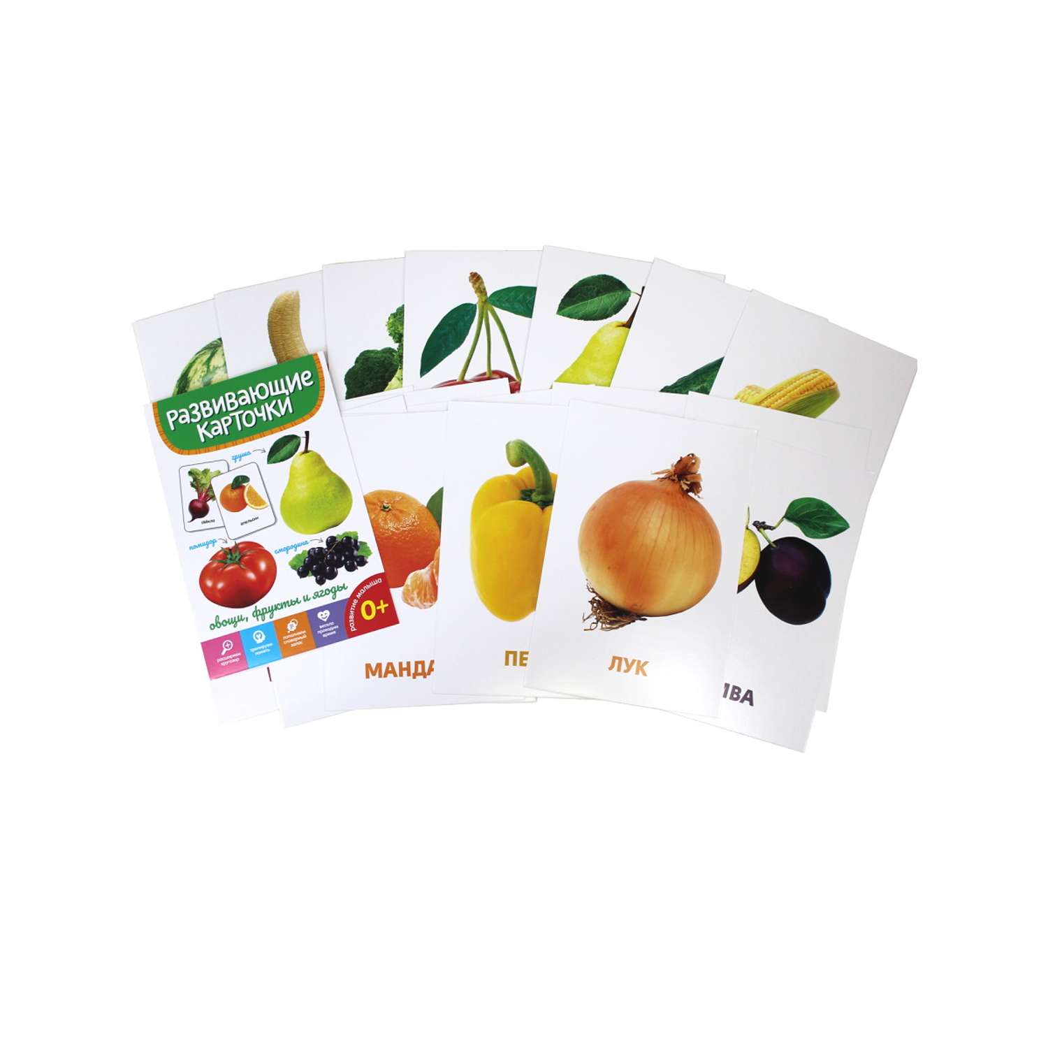 Карточки развивающие Проф-Пресс Овощи фрукты и ягоды - фото 2