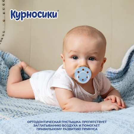 Пустышка Курносики латекс ортодонтическая от 6 мес. в ассортименте