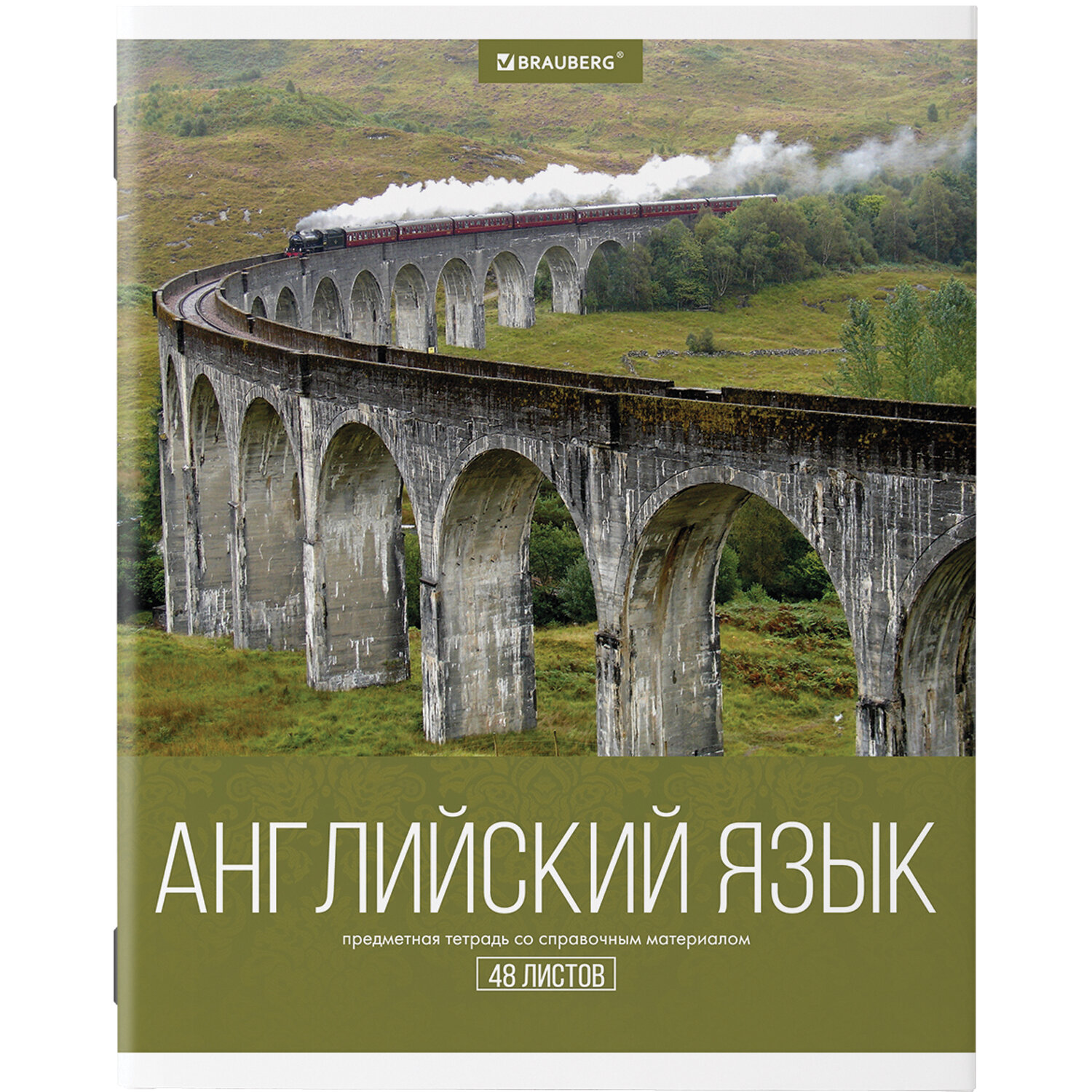 Тетради предметные Brauberg Классика Xxi со справочным материалом в клетку/линейку 10 шт 48 л - фото 12