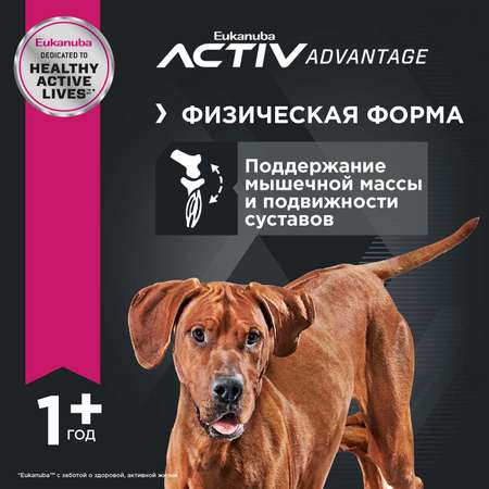 Корм для собак Eukanuba 2.5кг Dog с ягненком для взрослых крупных пород