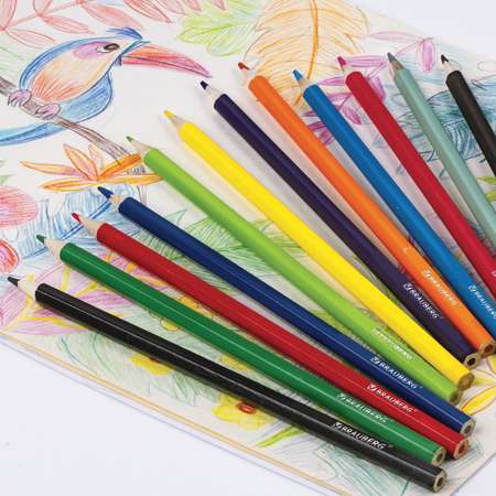 Карандаши цветные Brauberg для рисования 12 цветов заточенные в картонной упаковке
