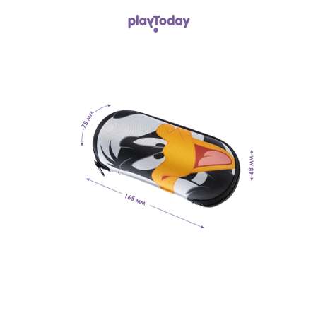 Чехол для солнцезащитных очков PlayToday