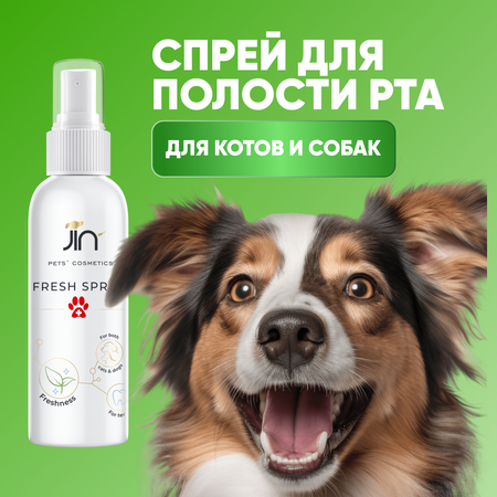 Спрей для полости рта JIN Fresh Spray