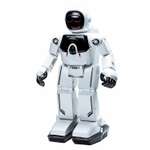 Робот РУ Silverlit Programme-a-bot