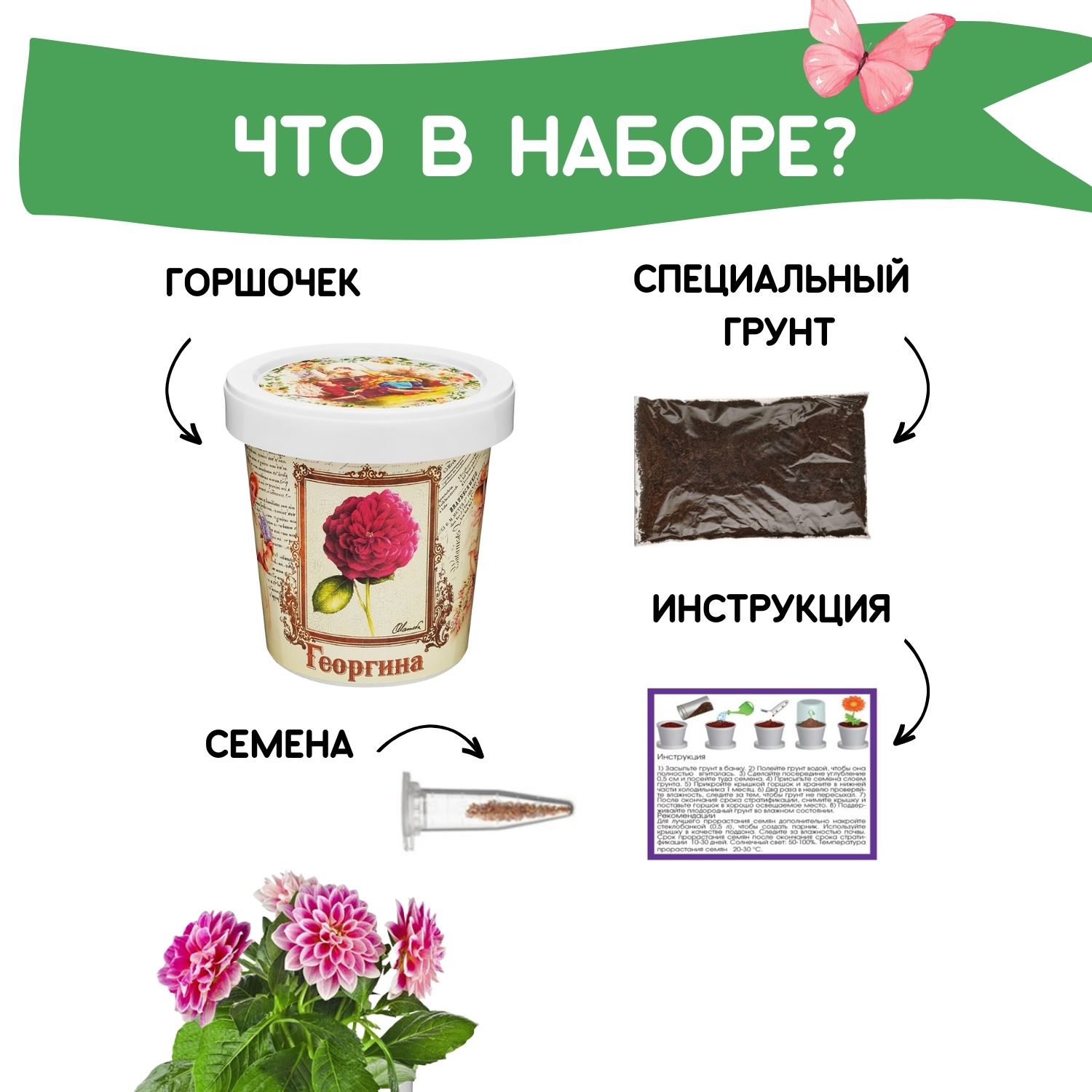 Набор для выращивания растений Rostok Visa Вырасти сам цветок Георгина в подарочном горшке - фото 3
