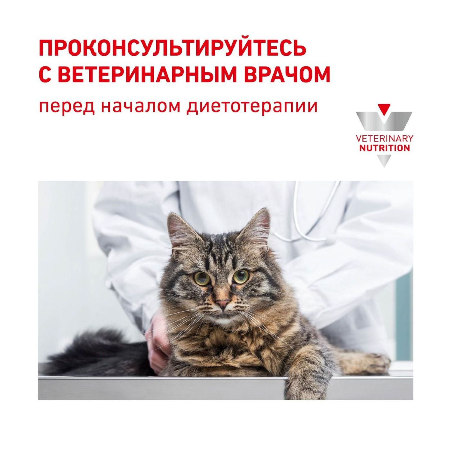Корм влажный для кошек ROYAL CANIN Sensitivity Control 85г с курицей и рисом при пищевой непереносимости пауч - фото 7