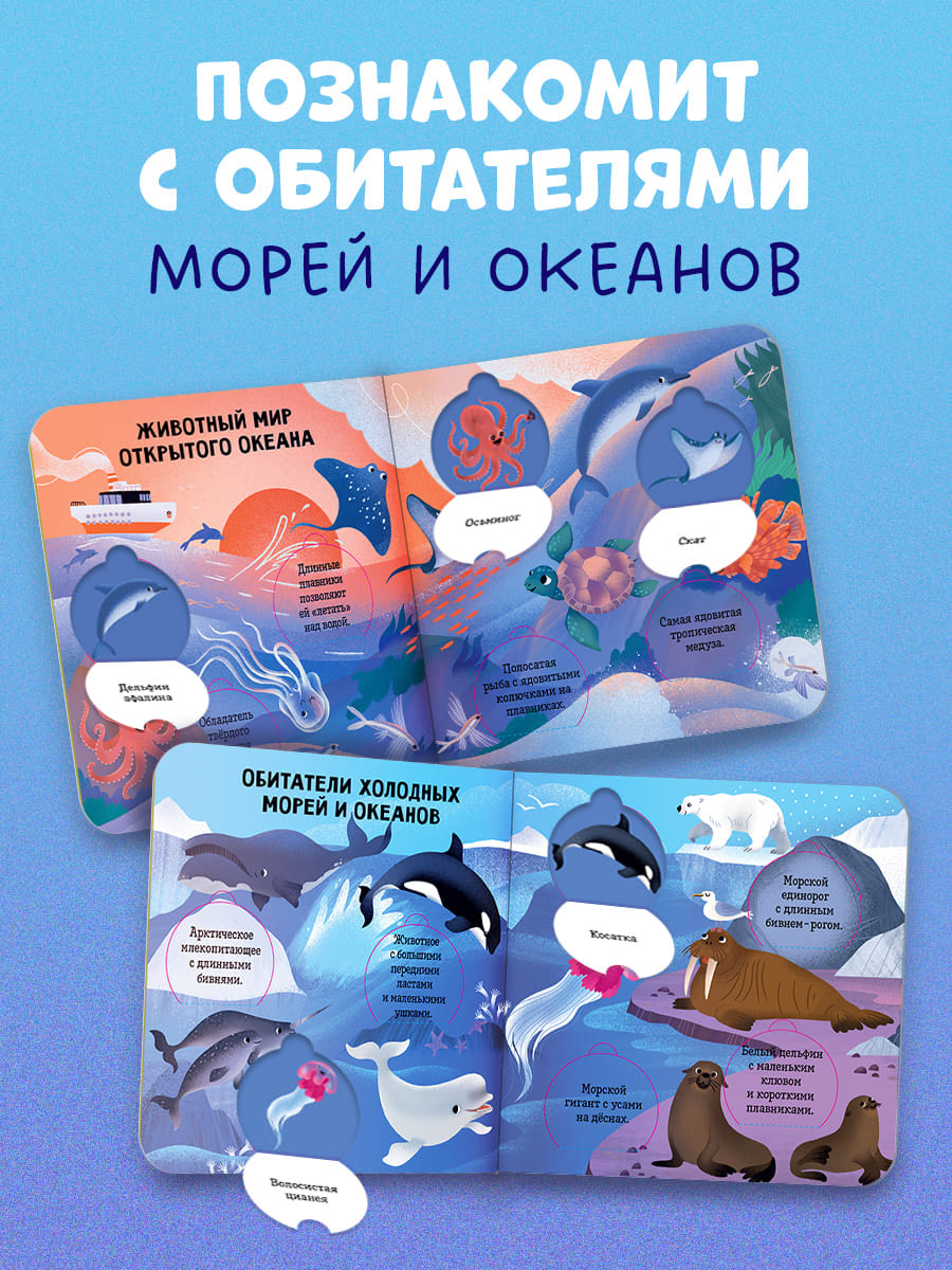 Книга Clever Океаны и моря. Энциклопедия с окошками - фото 2