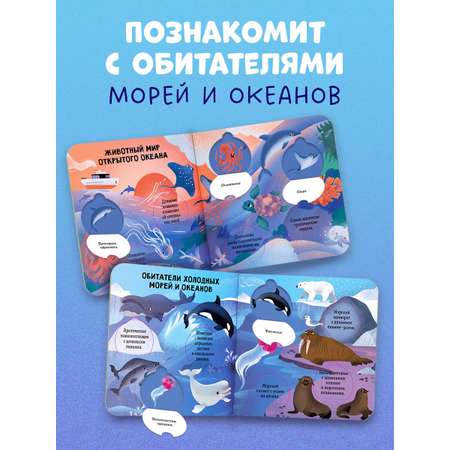 Книга Clever Океаны и моря. Энциклопедия с окошками