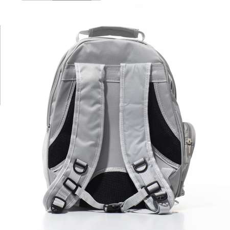 Рюкзак для переноски Пижон прозрачный 33х25х41 см серый