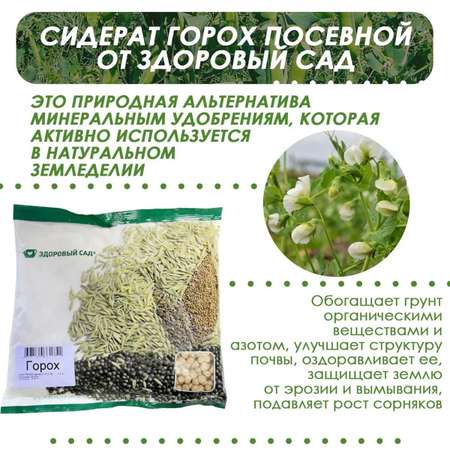 Семена сидерата Здоровый Сад Горох посевной сорт Фокор 15х0.5 кг