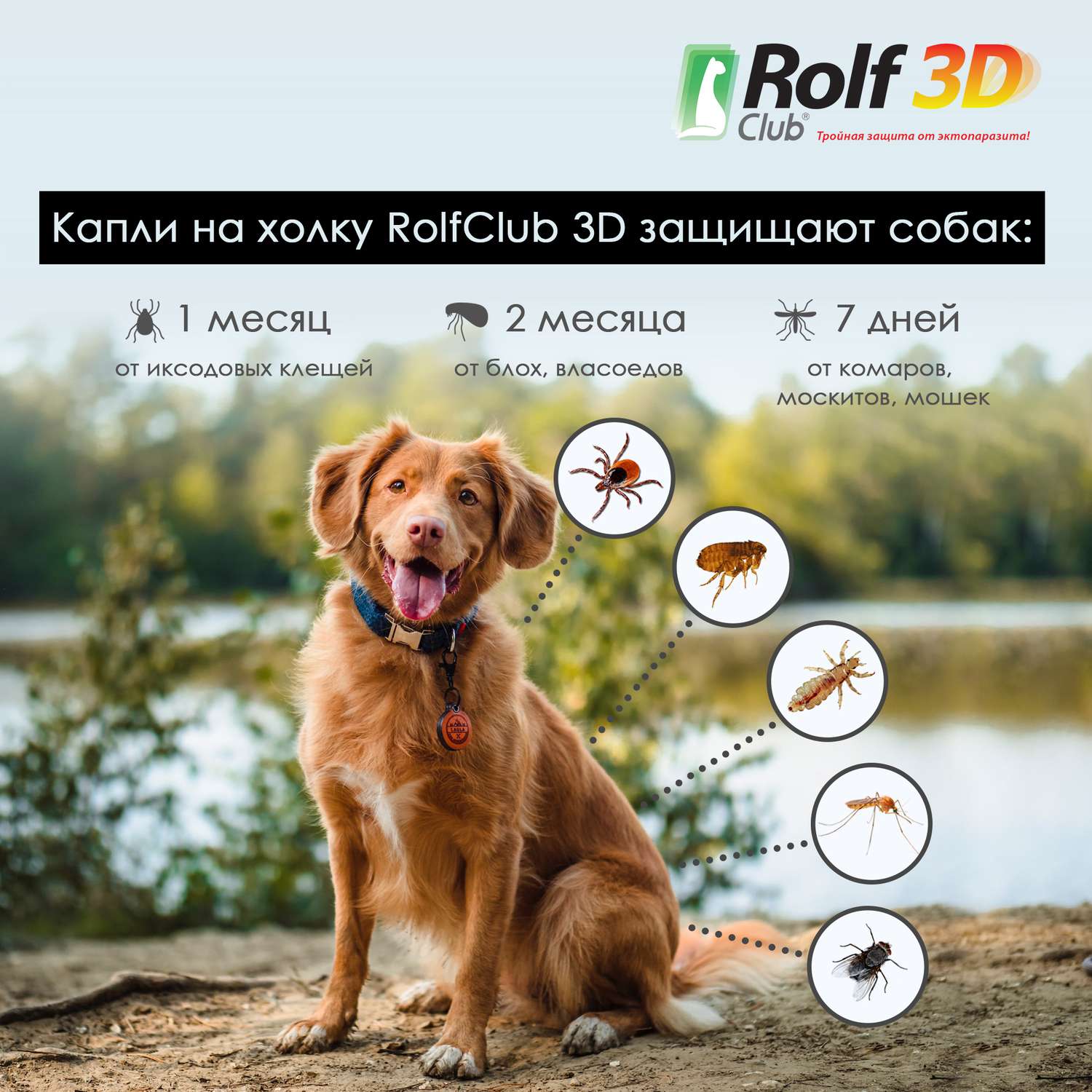 Капли для собак RolfClub3D 20-40кг от блох и клещей 2.5мл - фото 4