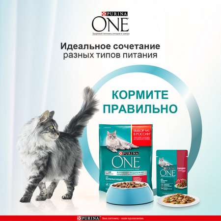 Корм для кошек Purina One взрослая говядина-морковь 75г