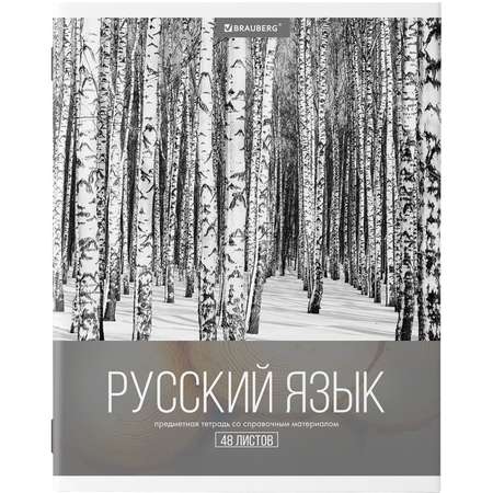 Тетради предметные Brauberg Классика Xxi со справочным материалом в клетку/линейку 10 шт 48 л