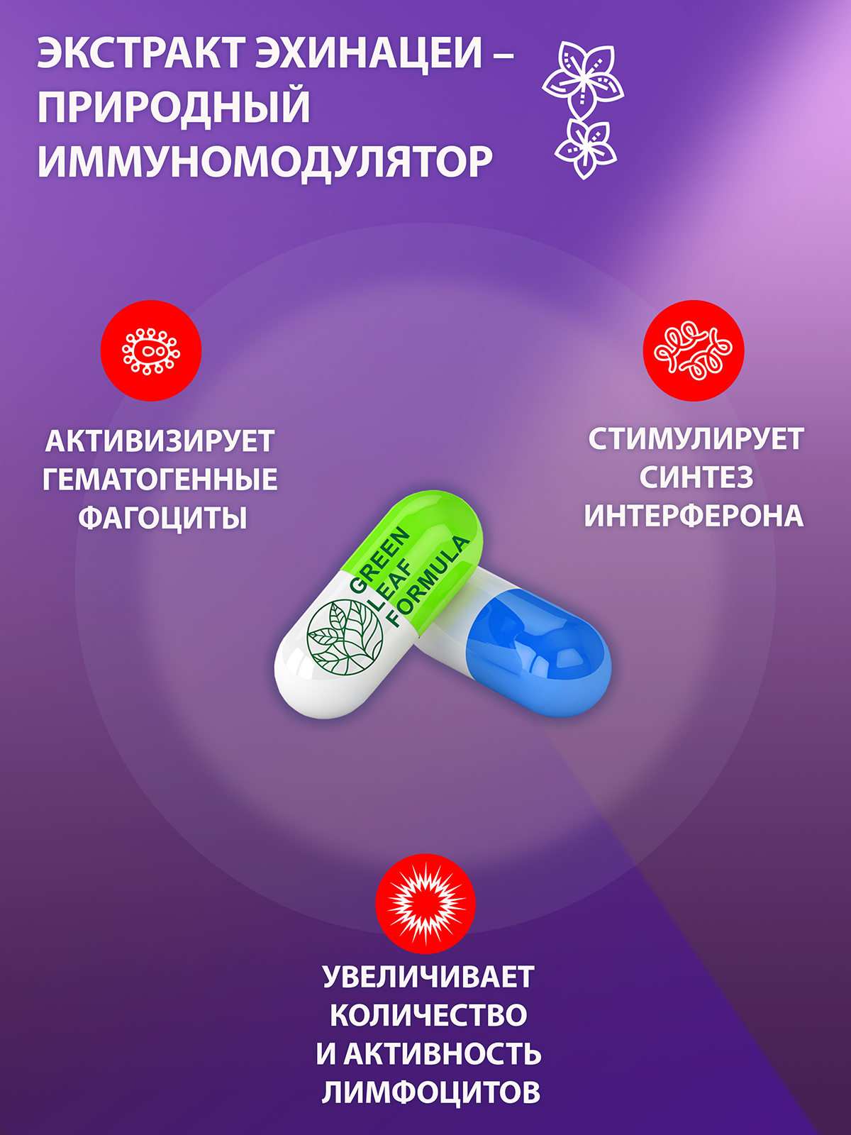 Витамины для иммунитета Green Leaf Formula для мозга для памяти триптофан эхинацея от простуды 60 капсул - фото 5