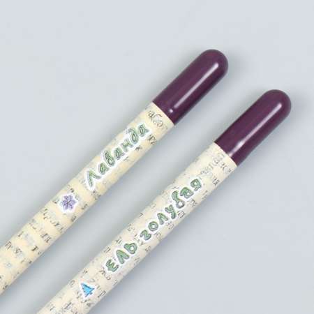 Растущие карандаши Лас Играс mini «Голубая ель и Лаванда» набор 2 шт.