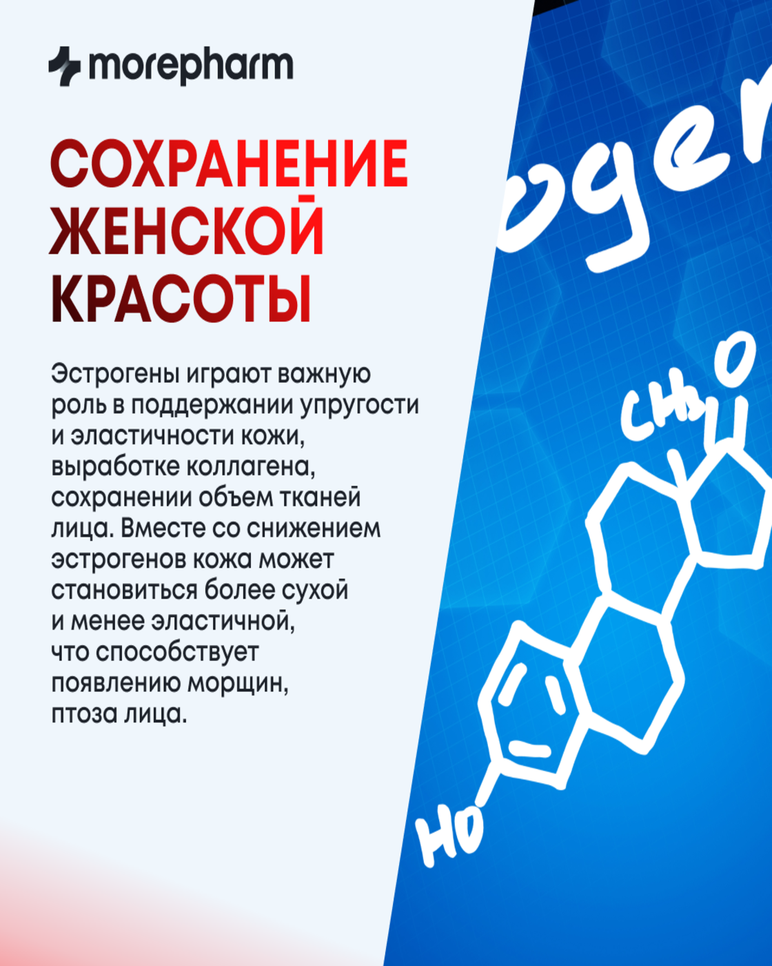 БАД morepharm Цимицифуга фитоэстроген при климаксе и менопаузе - фото 9