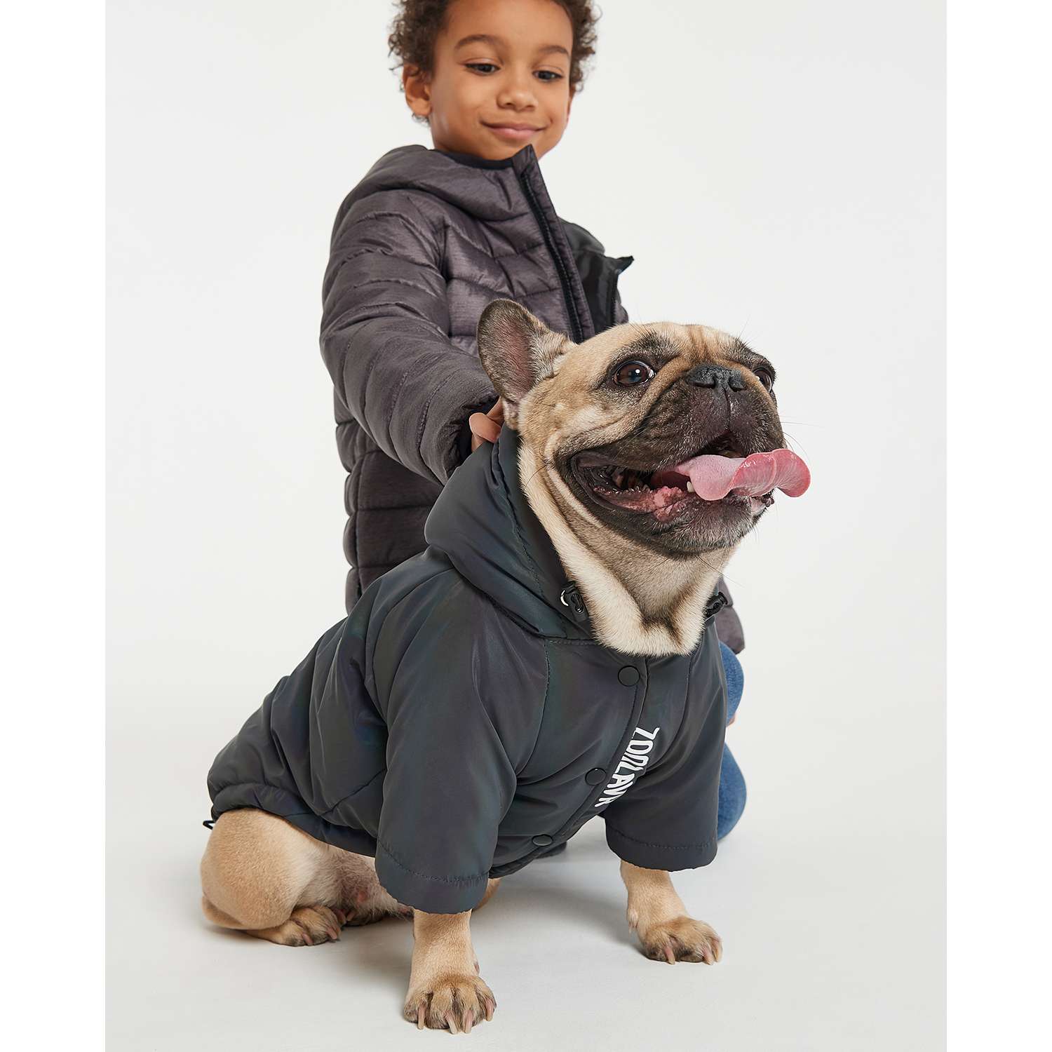 Куртка для собак Зоозавр 40 - фото 10