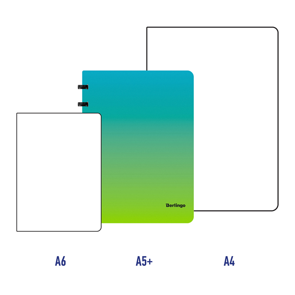 Бизнес-тетрадь Berlingo Radiance А5+ 80 листов клетка на кольцах 80г/м2 пластиковая обложка голубой/зеленый - фото 6