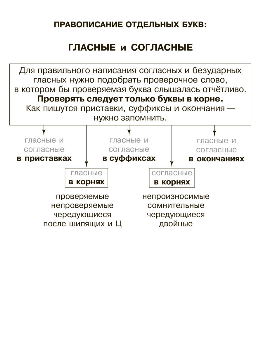 Книга ИД Литера Правила русского языка в таблицах и схемах. - фото 7