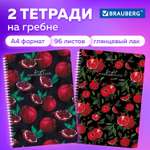 Тетрадь в клетку Brauberg А4 96 листов общая для школы комплект 2 шт на пружине