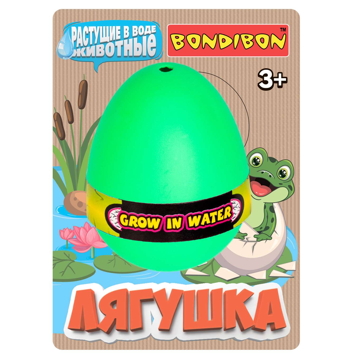 Растущая в воде игрушка BONDIBON Вырасти Лягушку в зелёном яйце - фото 2
