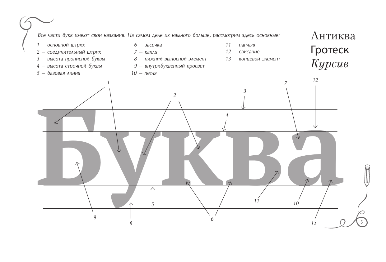 Книга АСТ Основы каллиграфии и леттеринга. Прописи - фото 6