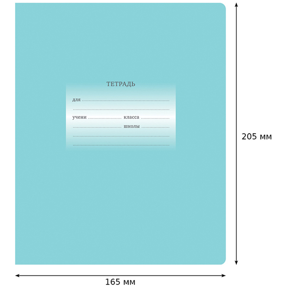 Тетрадь BG 12 л линия Первоклассная светло-бирюзовая 16 шт - фото 3