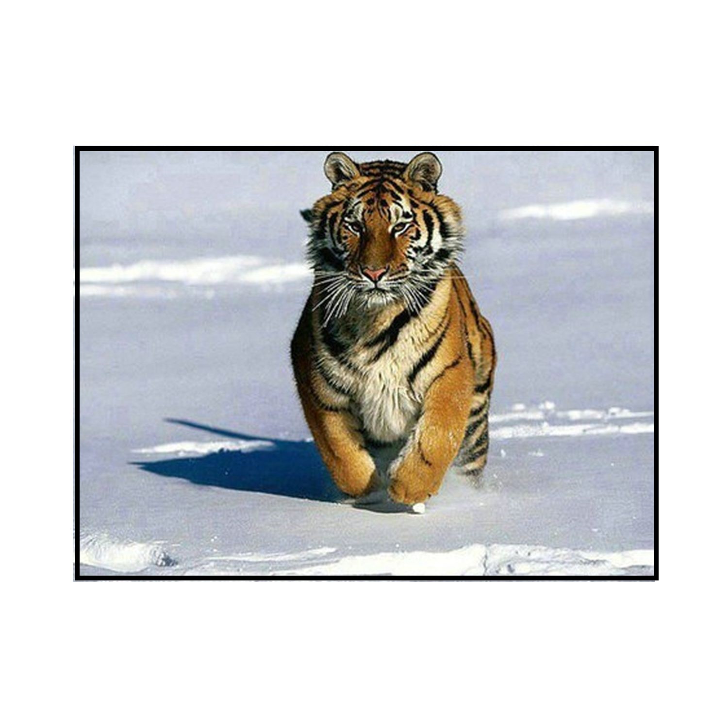 Алмазная мозаика Seichi Бегущий тигр 40х50 см - фото 2