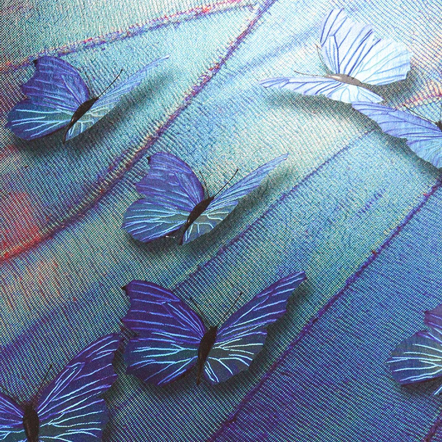 Альбом для рисования Prof-Press Синие бабочки А4 40 листов с жесткой подложкой - фото 5