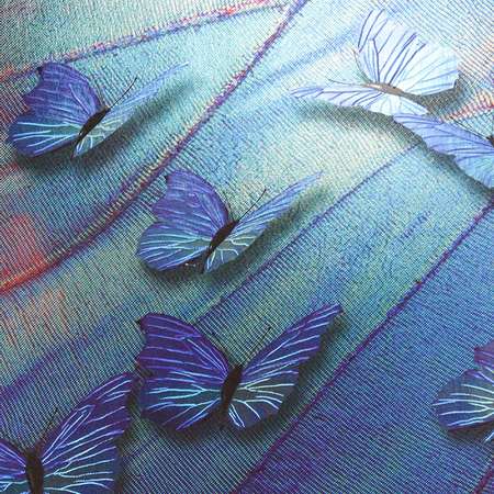 Альбом для рисования Prof-Press Синие бабочки А4 40 листов с жесткой подложкой