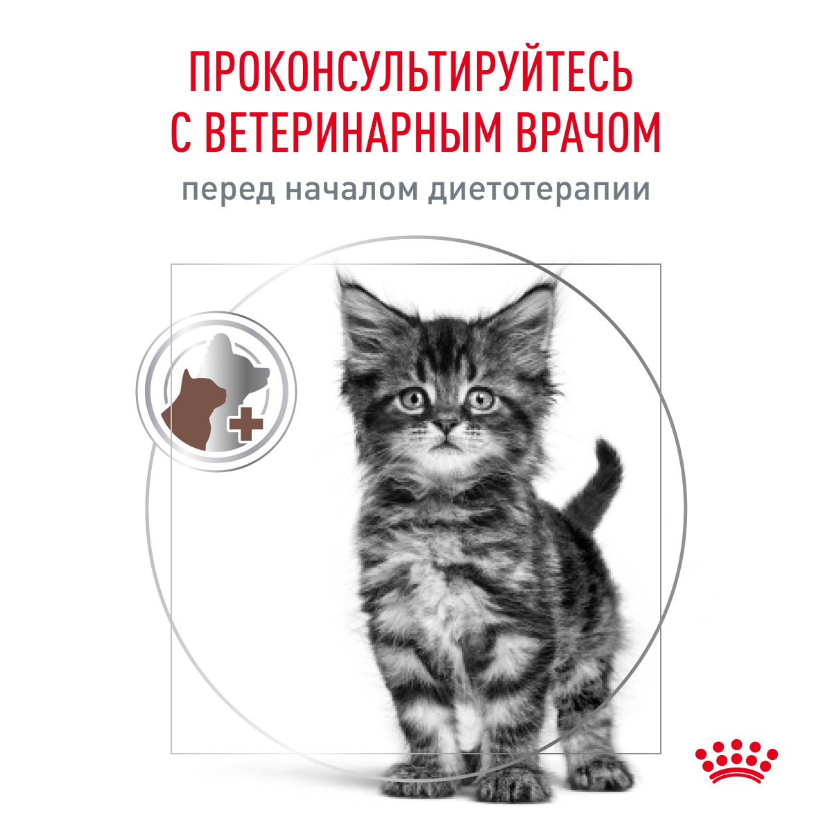 Сухой корм для кошек ROYAL CANIN 2 кг (при чувствительном пищеварении, лечебный) - фото 7