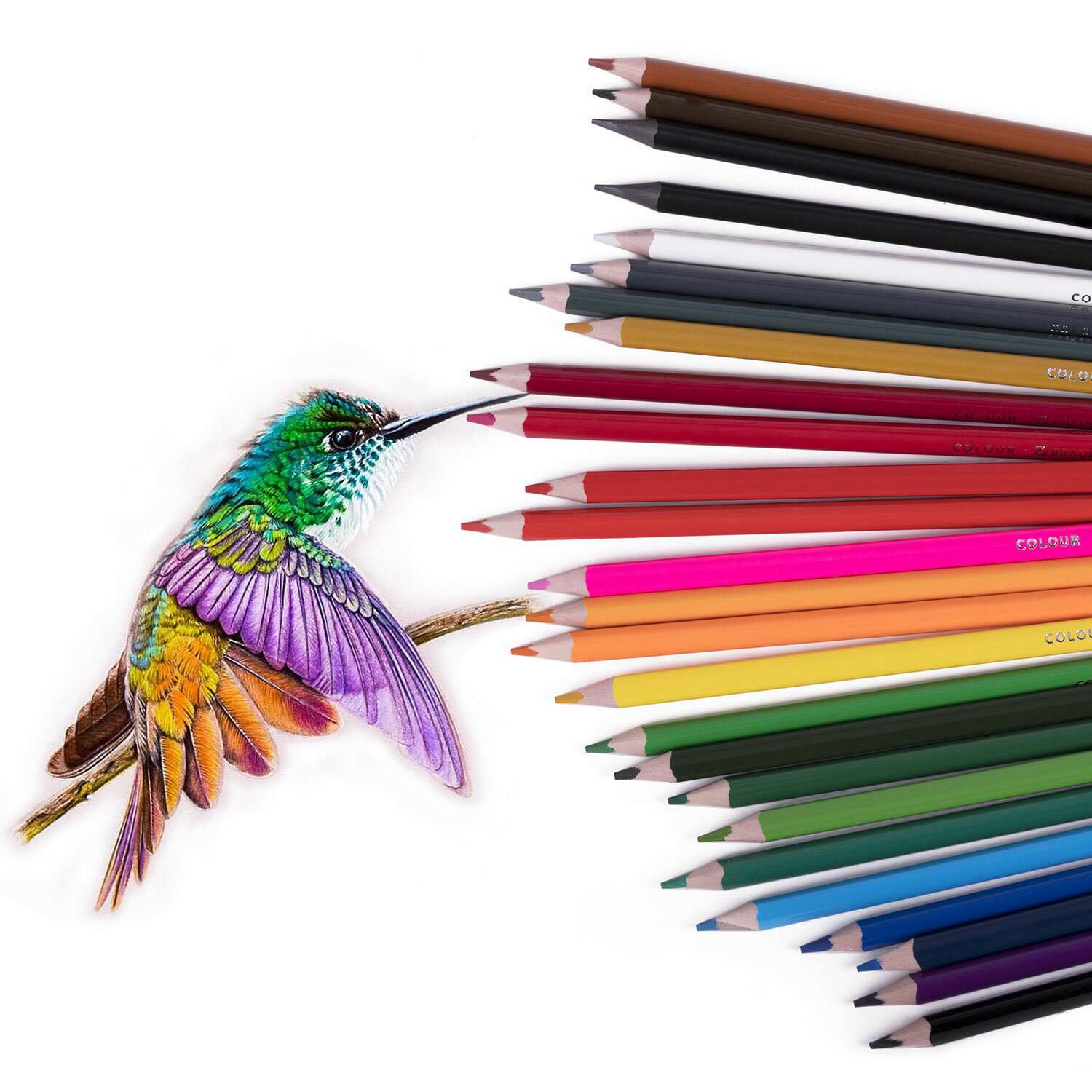 Карандаши цветные Brauberg мягкие художественные для рисования 24 цвета + 2 чернографитных карандаша - фото 5