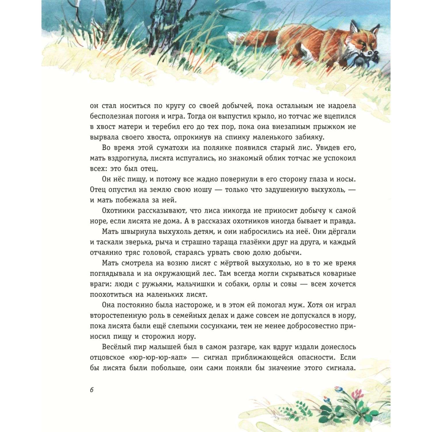Книга Рассказы о животных иллюстрации Канивца - фото 4