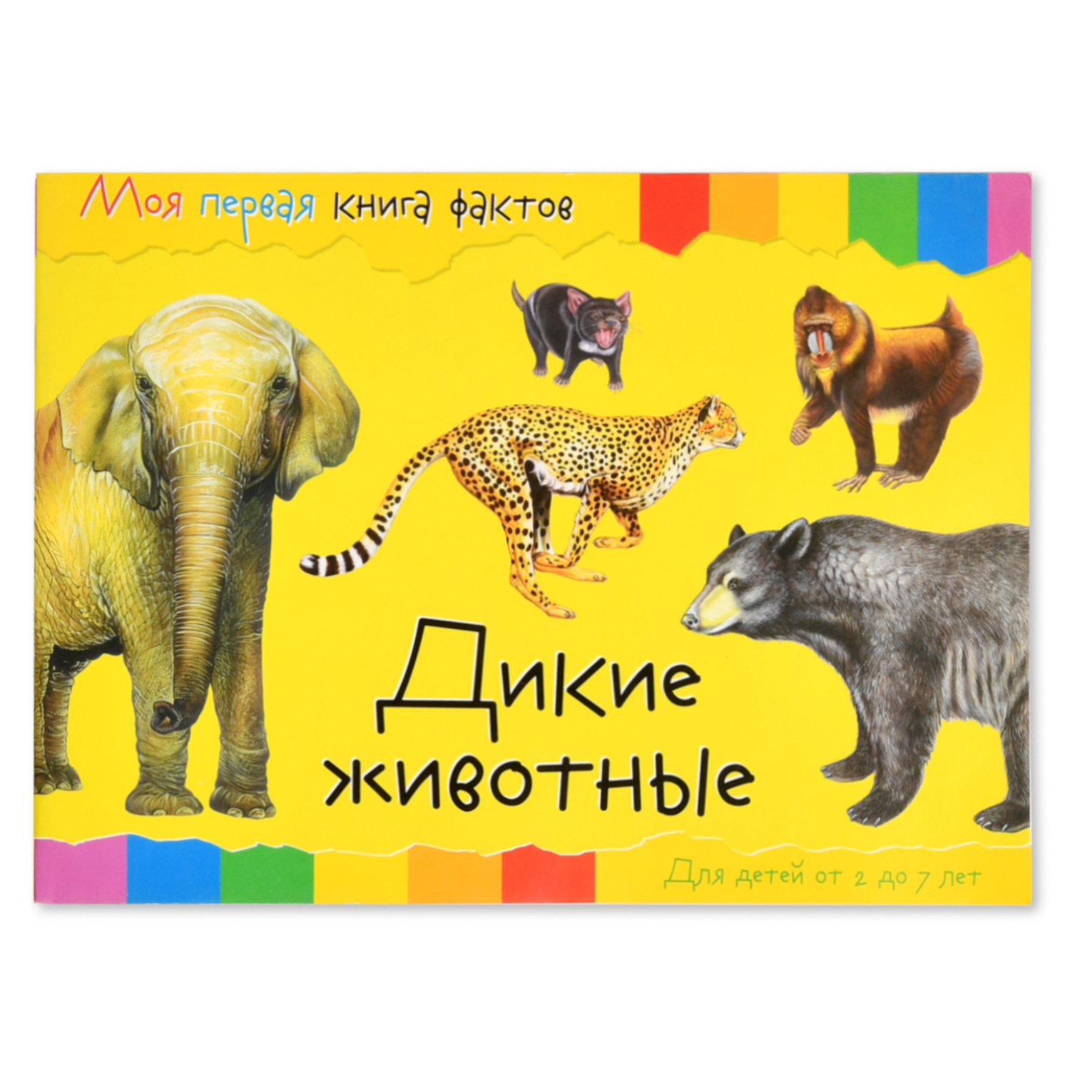 Моя первая книга фактов ND PLAY Дикие животные - фото 1