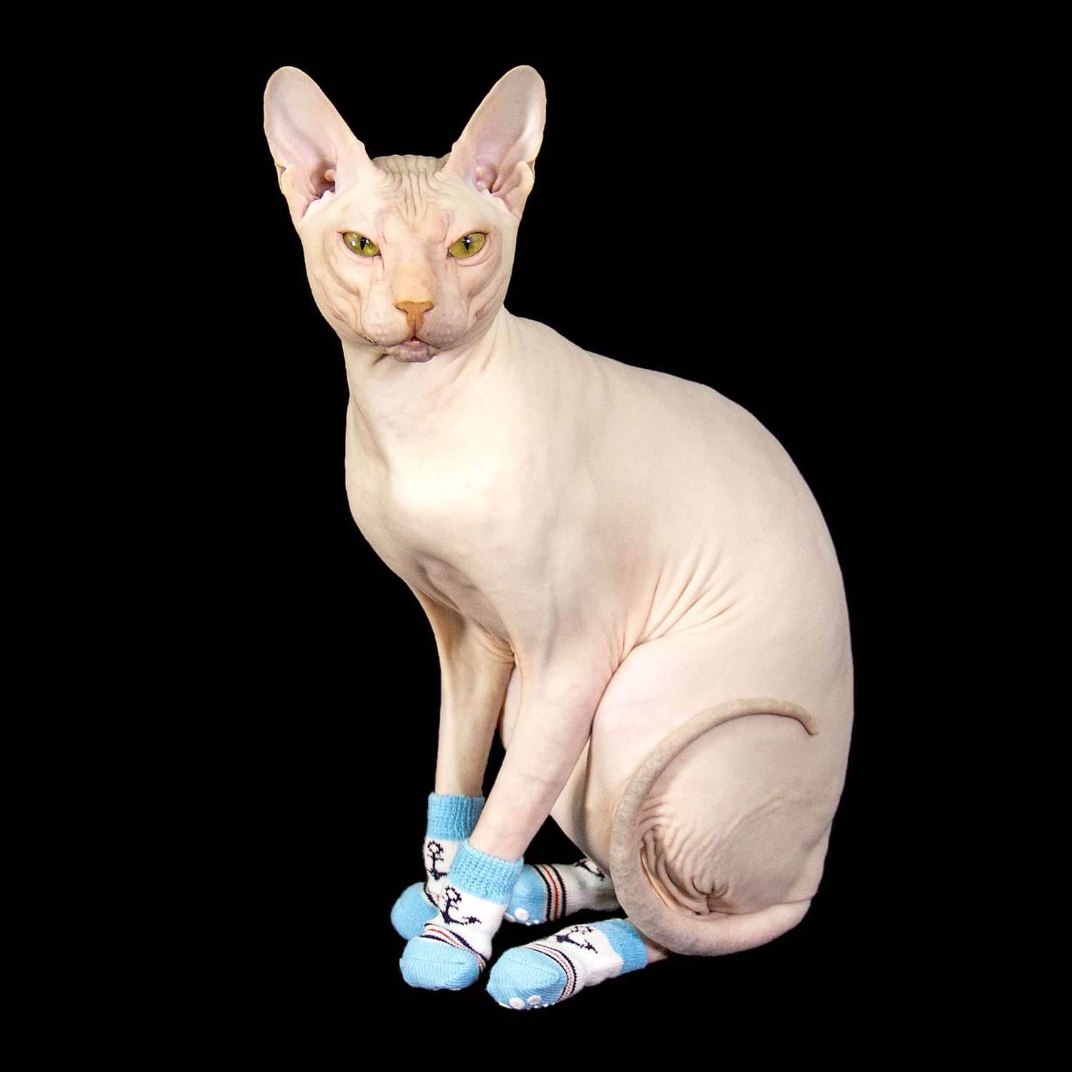 Носки для животных Пижон нескользящие «Моряк» размер S 4 шт. голубые - фото 4