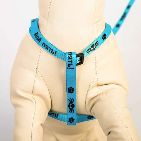 Комплект для собаки Пушистое счастье «Дай пять!» шлейка 28-47 см поводок 120 см