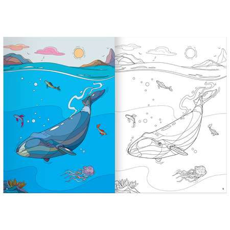Набор Солнышко Арт развитие логики-внимания-памяти 2 раскраски Морские Млекопитающие Хамелеоны домино