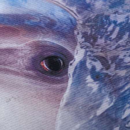 Коврик влаговпитывающий Vortex Velur SPA D 60 см круглый Дельфин