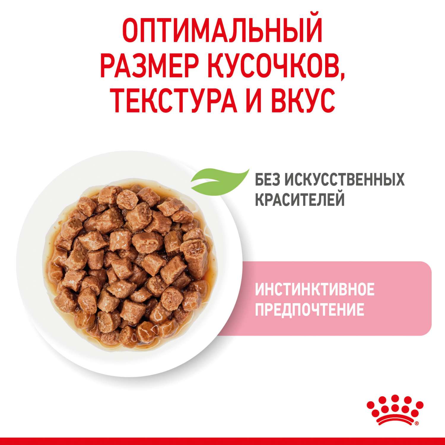 Корм влажный для котят ROYAL CANIN Kitten 85г кусочки в соусе 77851 - фото 5