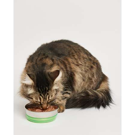Корм для кошек Harty 100г паштет с индейкой для чувствительного пищеварения консервированный