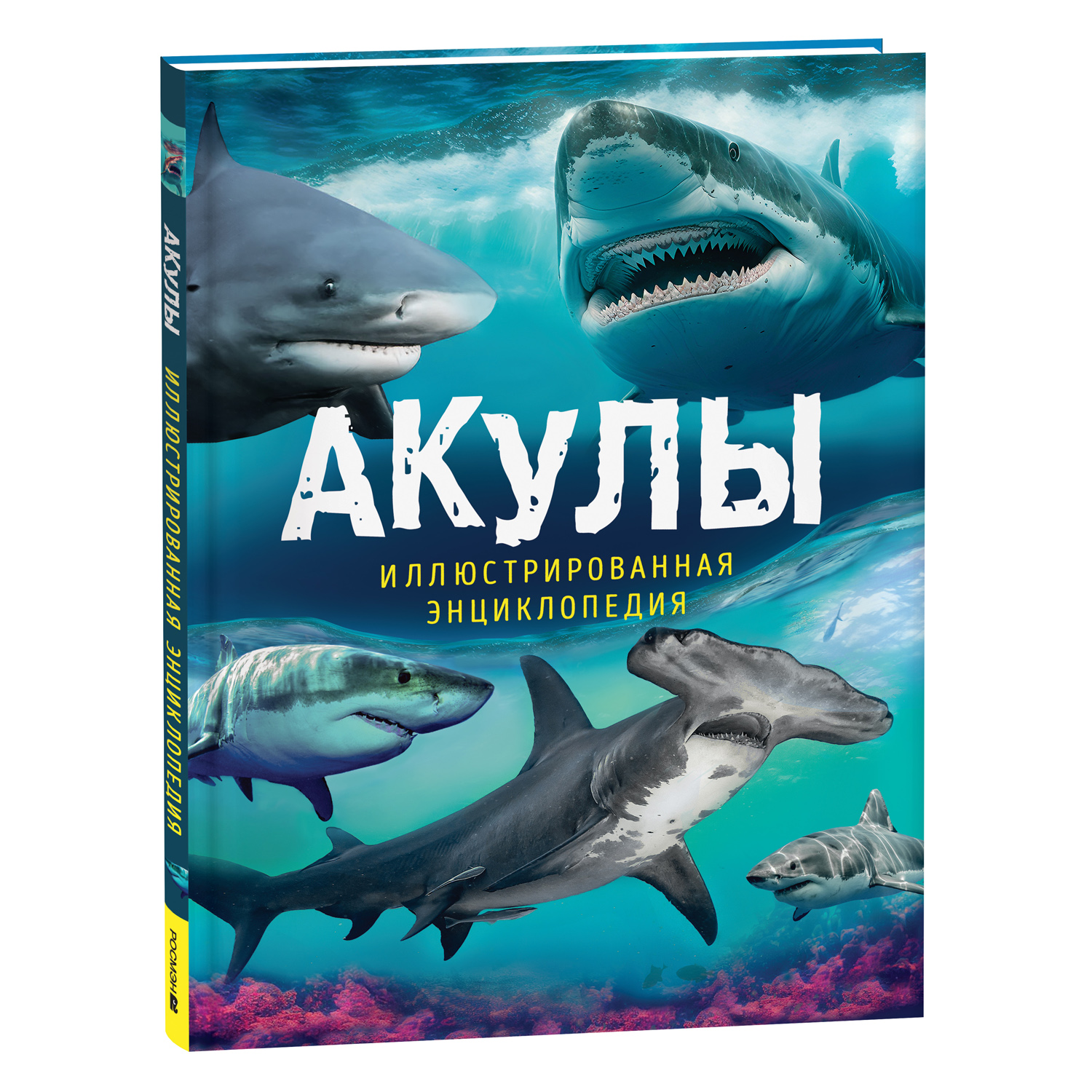 Книга Акулы Иллюстрированная энциклопедия купить по цене 799 ₽ в  интернет-магазине Детский мир